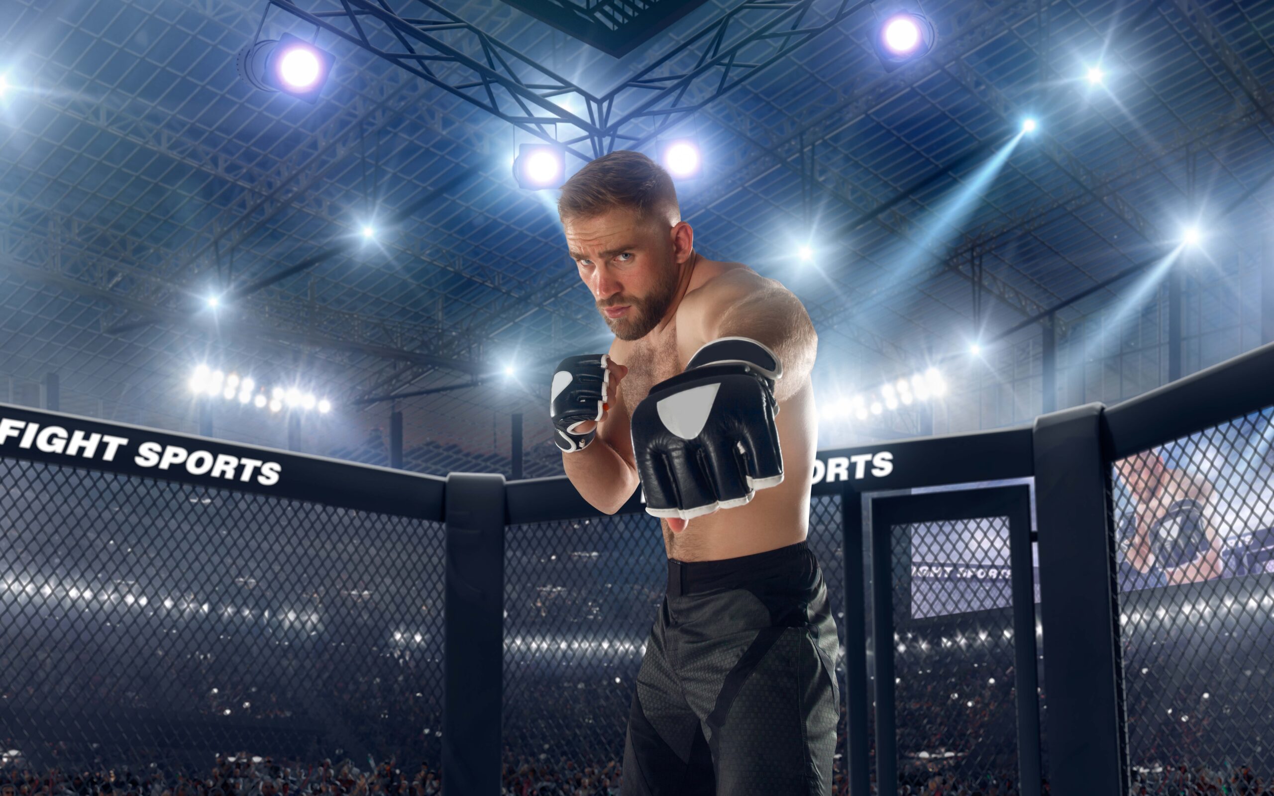 UFC Vegas